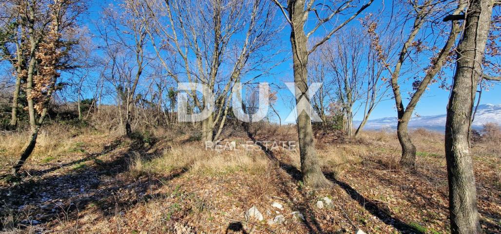 ISTRIA, PIĆAN - Building land, olive grove, vineyard, arable land, complete solitude and fantastic v
