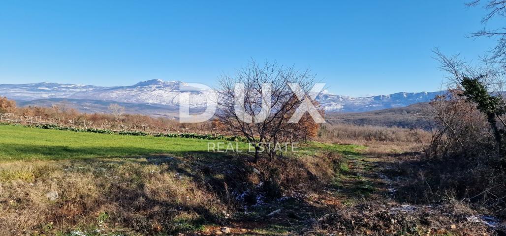 ISTRIA, PIĆAN - Building land, olive grove, vineyard, arable land, complete solitude and fantastic v
