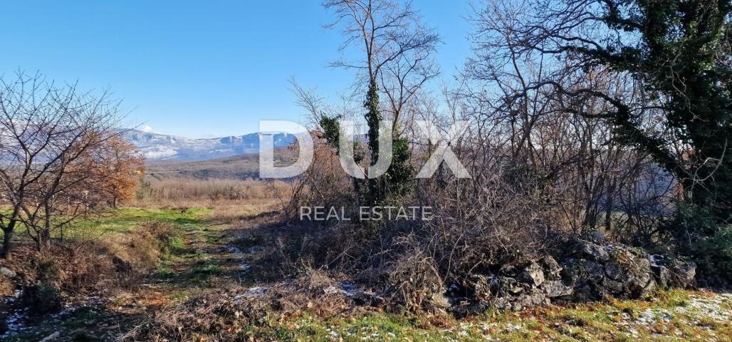 ISTRIA, PIĆAN - Building land, olive grove, vineyard, arable land, complete solitude and fantastic v