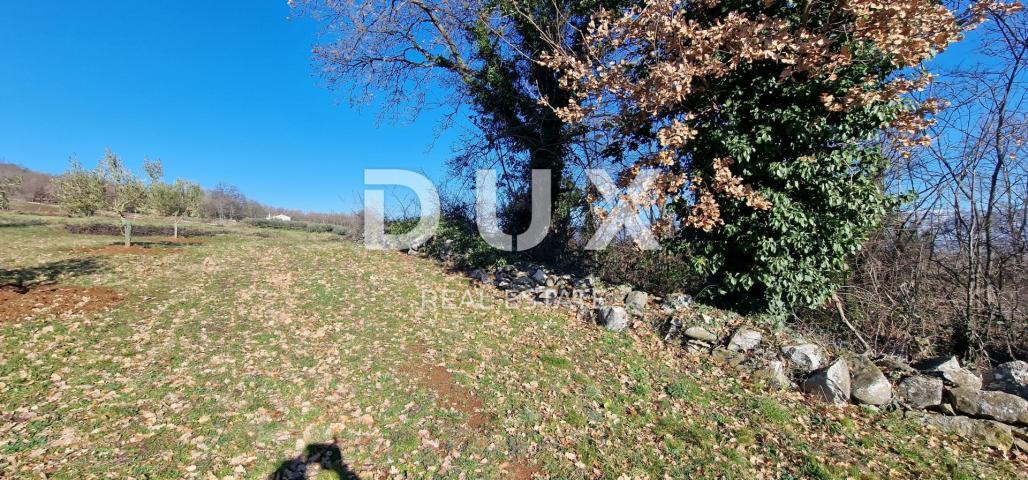 ISTRIA, PIĆAN - Building land, olive grove, vineyard, arable land, complete solitude and fantastic v