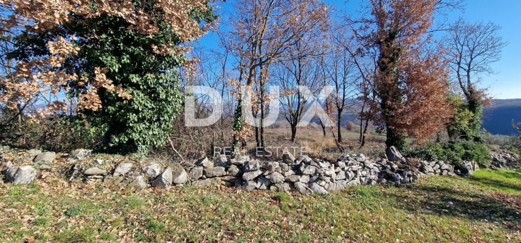 ISTRIA, PIĆAN - Building land, olive grove, vineyard, arable land, complete solitude and fantastic v