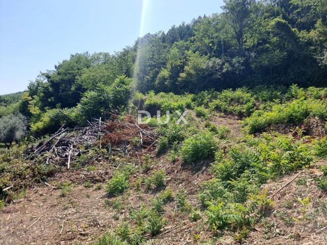 ISTRA, GROŽNJAN - Imanje na osami s panoramskim pogledom