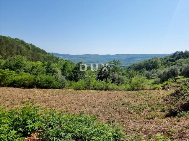 ISTRA, GROŽNJAN - Imanje na osami s panoramskim pogledom