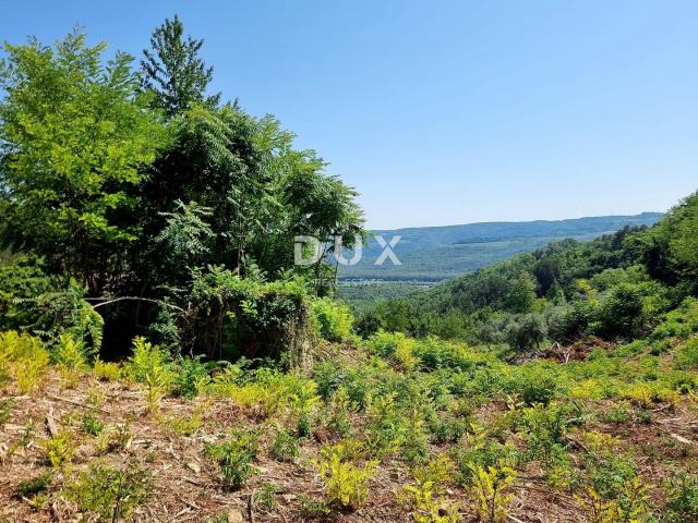 ISTRA, GROŽNJAN - Imanje na osami s panoramskim pogledom