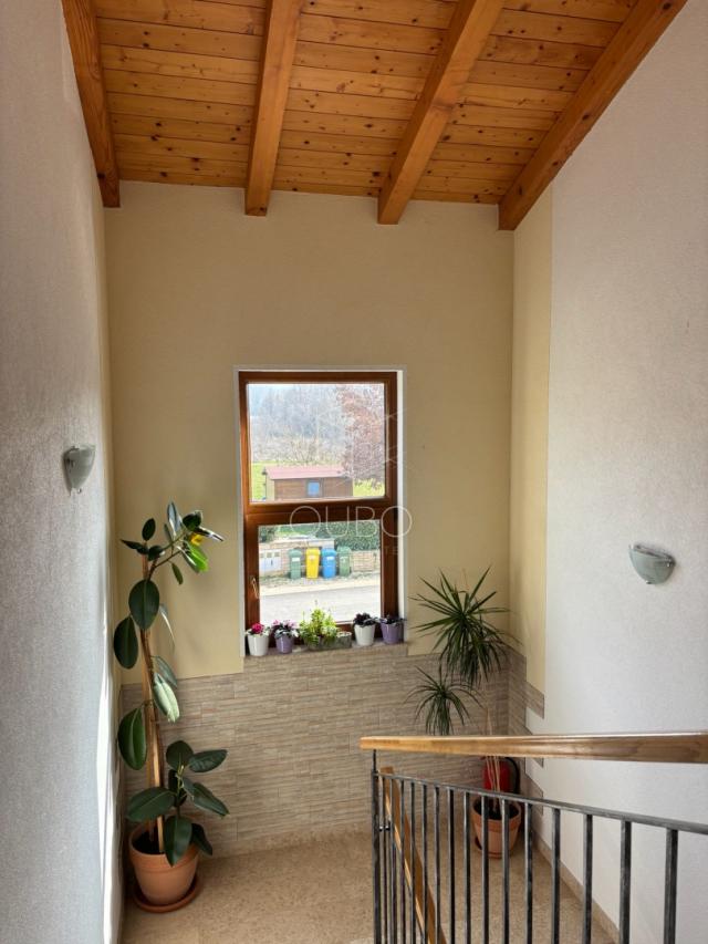 Istra, Poreč – Samostojeća kuća s četiri odvojena stana 