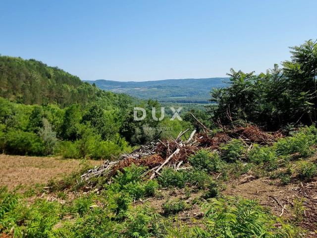 ISTRA, GROŽNJAN - Građevinsko zemljište na osami s panoramskim pogledom