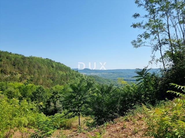 ISTRA, GROŽNJAN - Građevinsko zemljište na osami s panoramskim pogledom