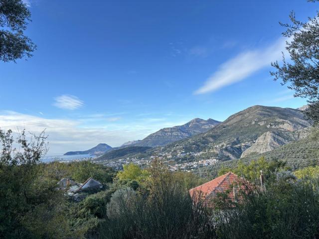 Property of 35000 m2 with house and orchard