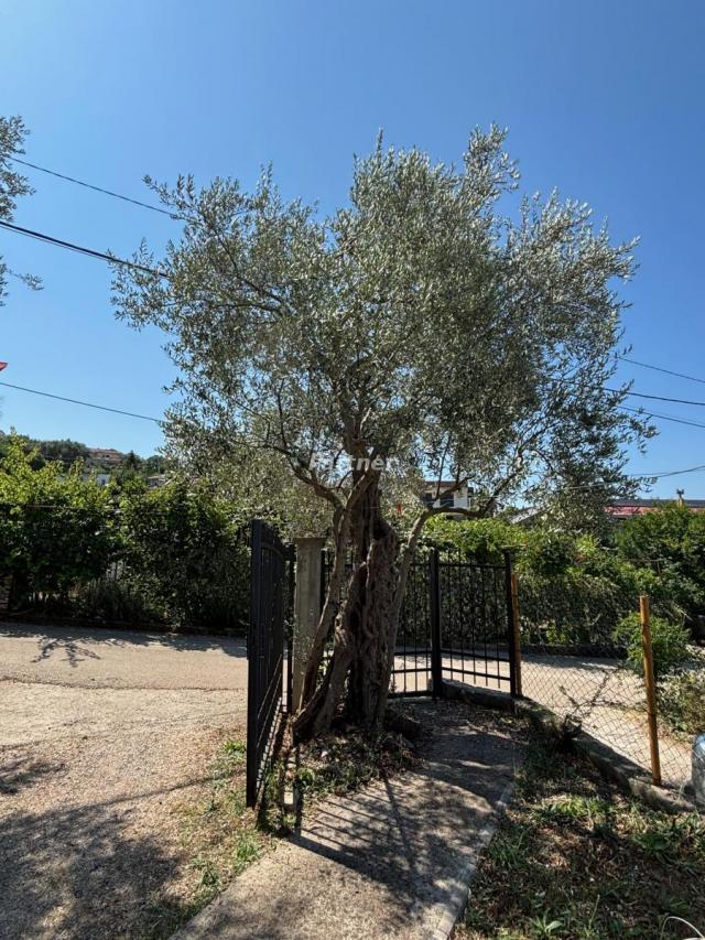 Haus 208 m2, Bjelisi