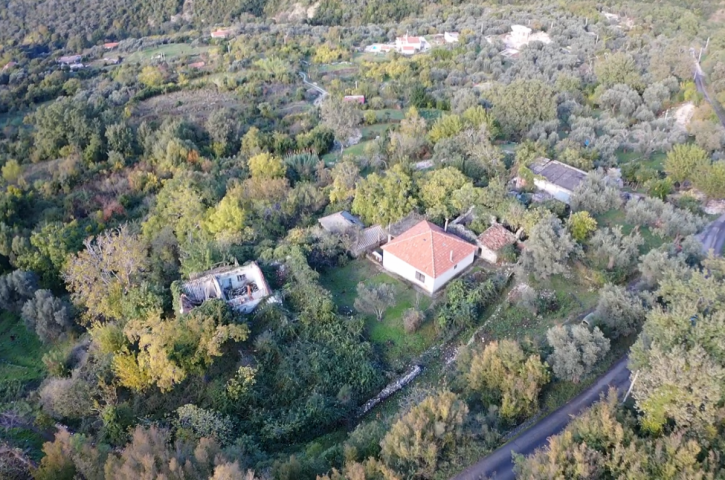 Property of 35000 m2 with house and orchard