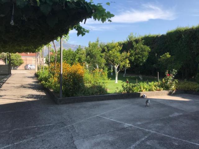 Kuca Polje