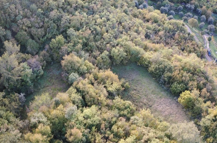 Property of 35000 m2 with house and orchard