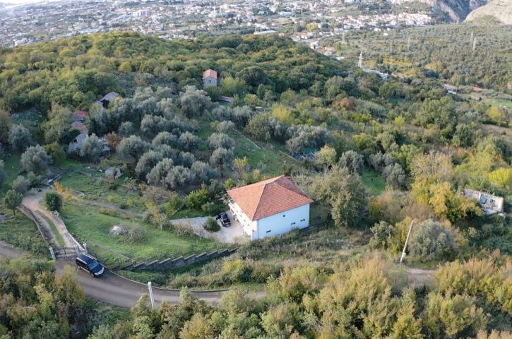 Property of 35000 m2 with house and orchard