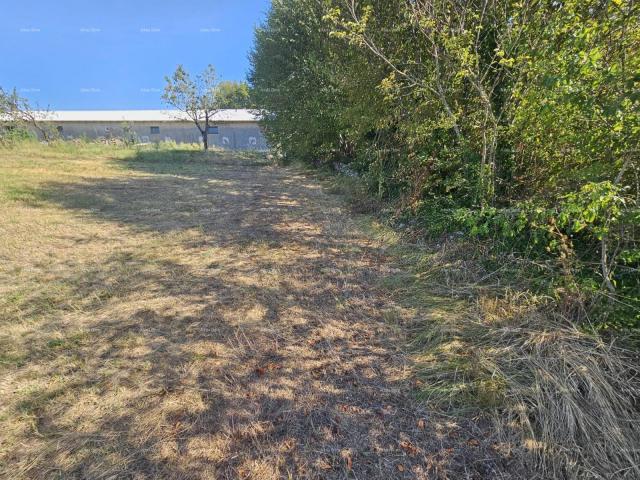 Building land Sale of construction land, Žminj