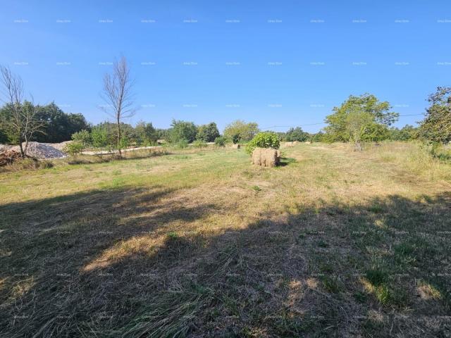 Building land Sale of construction land, Žminj