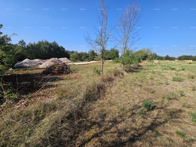 Building land Sale of construction land, Žminj