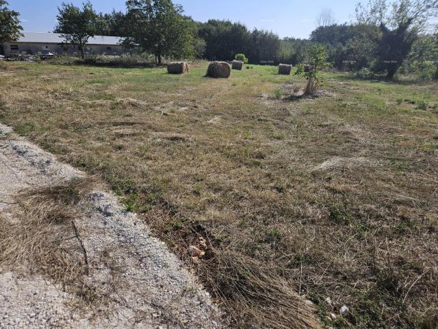 Building land Sale of construction land, Žminj