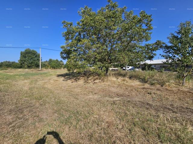 Building land Sale of construction land, Žminj