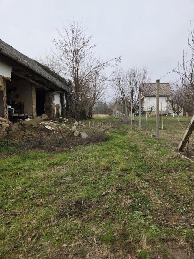 Hitna prodaja kuće – Dalj planina, 50 m²