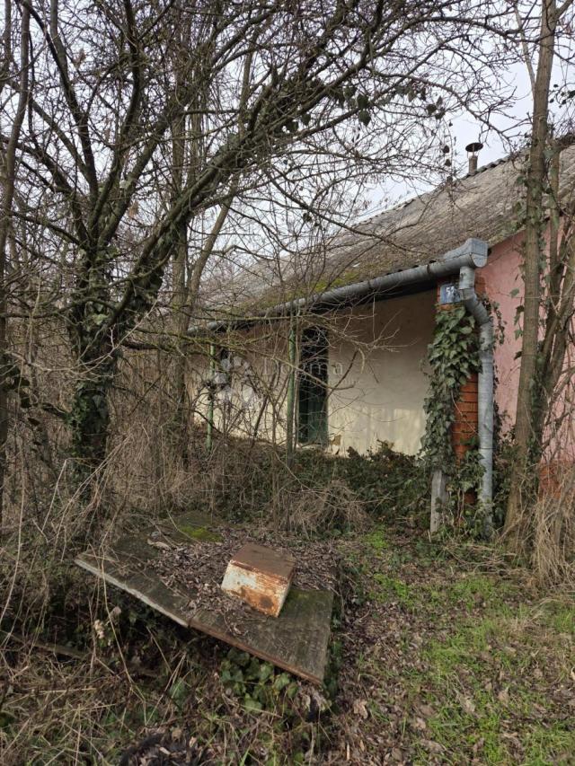 Hitna prodaja kuće – Dalj planina, 50 m²