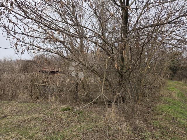 Hitna prodaja kuće – Dalj planina, 50 m²