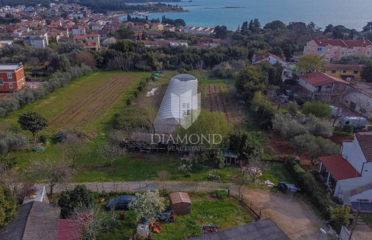 Umag, okolica, zemljište na odličnoj lokaciji !