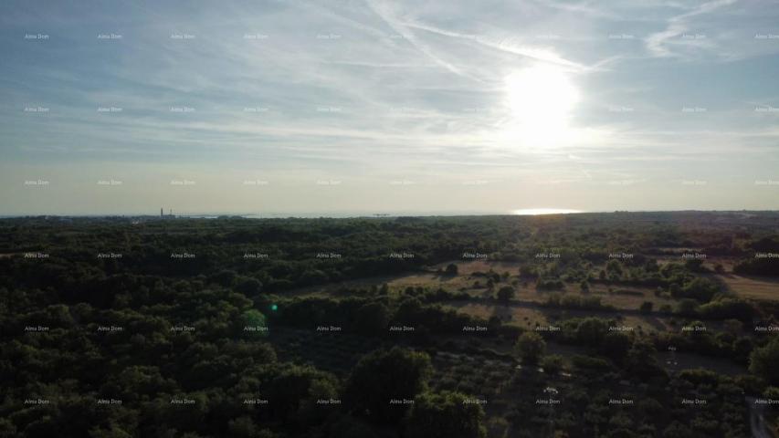 Bauland Vodnjan – Bau- und Landwirtschaftsland 8000 m²