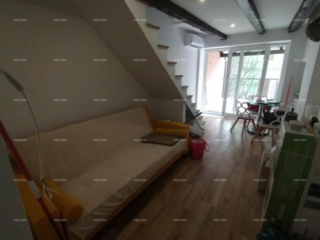 House Newly renovated house in Pazin.