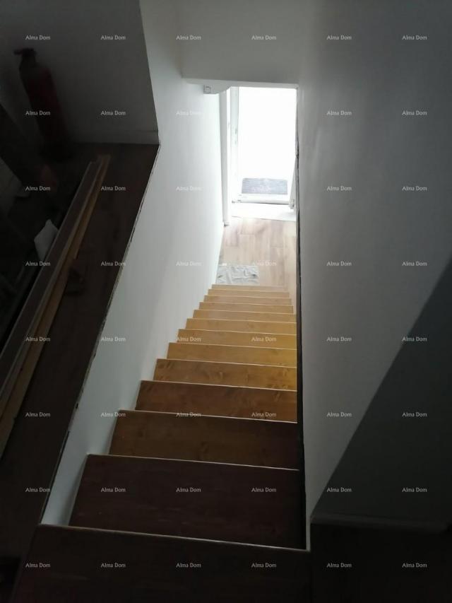 House Newly renovated house in Pazin.