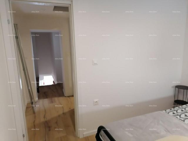 House Newly renovated house in Pazin.
