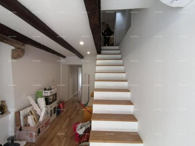 House Newly renovated house in Pazin.