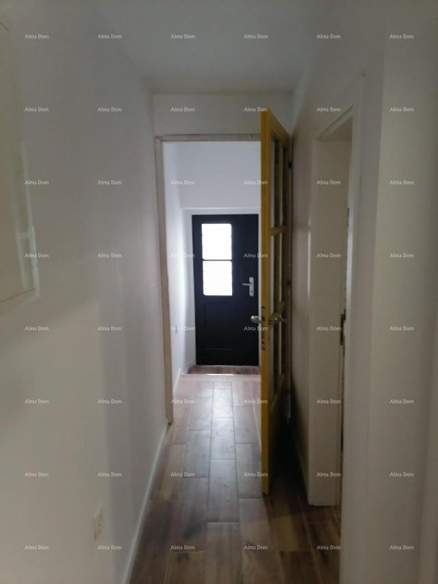 House Newly renovated house in Pazin.