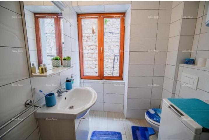 Apartment Sale of a furnished and renovated apartment - first row to the sea! Umag