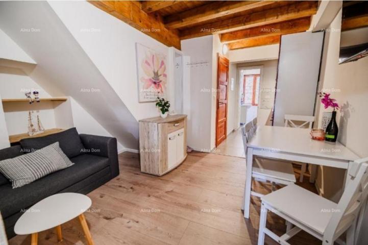 Apartment Sale of a furnished and renovated apartment - first row to the sea! Umag
