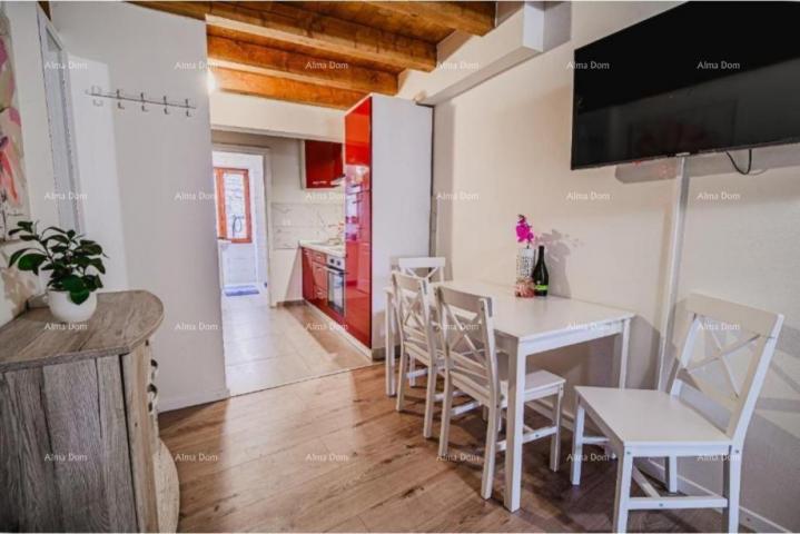 Apartment Sale of a furnished and renovated apartment - first row to the sea! Umag
