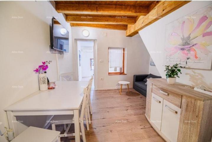 Apartment Sale of a furnished and renovated apartment - first row to the sea! Umag