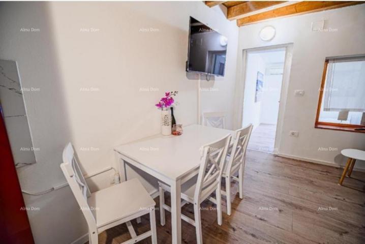 Apartment Sale of a furnished and renovated apartment - first row to the sea! Umag