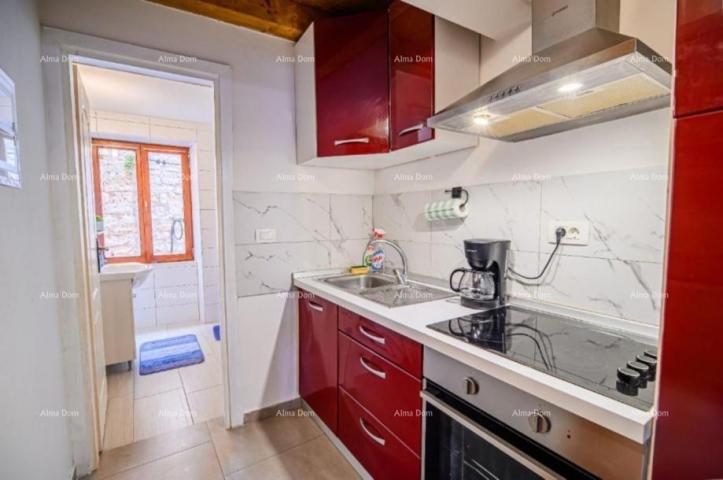 Apartment Sale of a furnished and renovated apartment - first row to the sea! Umag