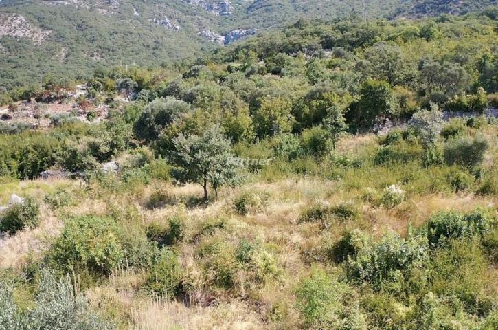 Urbanizovani plac 1170 m2 u Sutomoru