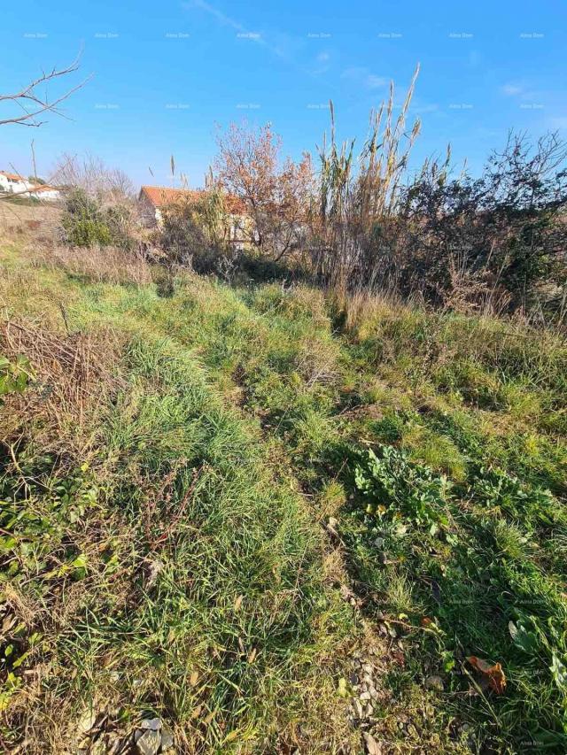 Građevinsko zemljište Građevinsko zemljište Vintijan – 800 m2 – uz cestu