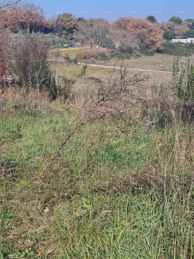 Građevinsko zemljište Građevinsko zemljište Vintijan – 800 m2 – uz cestu