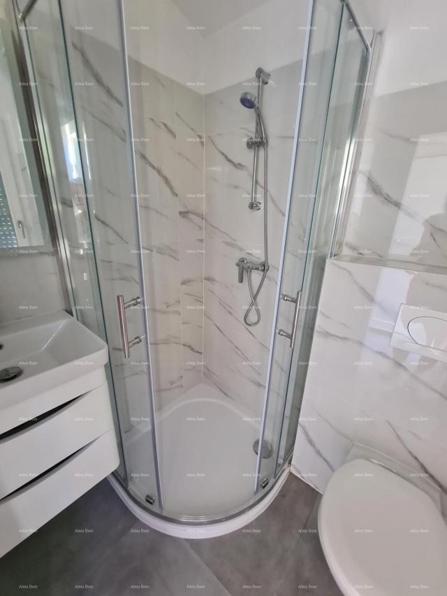 Kuća Renovirana kamena kuća s bazenom – mirno selo blizu Svetvinčenta