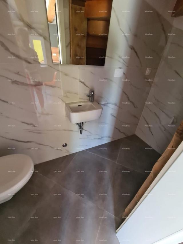Kuća Renovirana kamena kuća s bazenom – mirno selo blizu Svetvinčenta