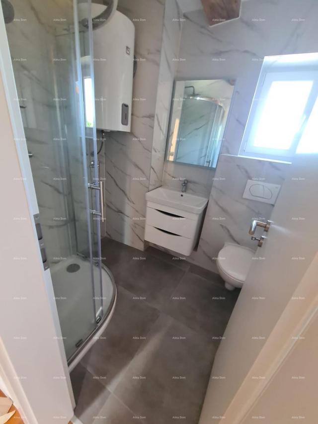Kuća Renovirana kamena kuća s bazenom – mirno selo blizu Svetvinčenta