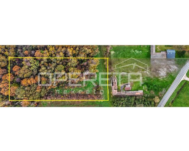 PRODAJA, STAMBENO-POSLOVNO GRAĐEVINSKO ZEMLJIŠTE, ŽAŽINA - OKOLICA SISKA, 4.943 