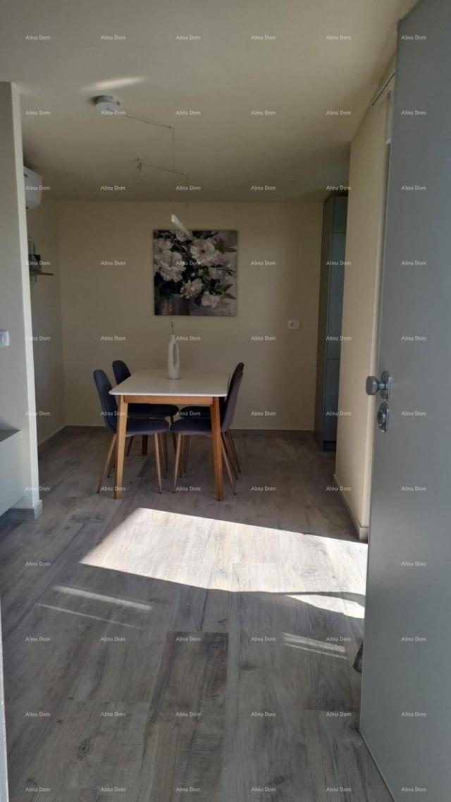 Stan Moderan apartman s parkirnim mjestom i ostavom u bloku F, u blizini Umaga!