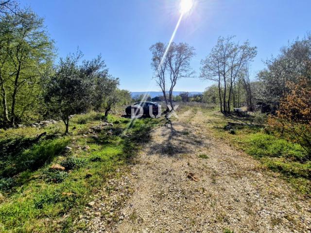 OTOK KRK, LINARDIĆI - zemljište 4812 m2 za najam