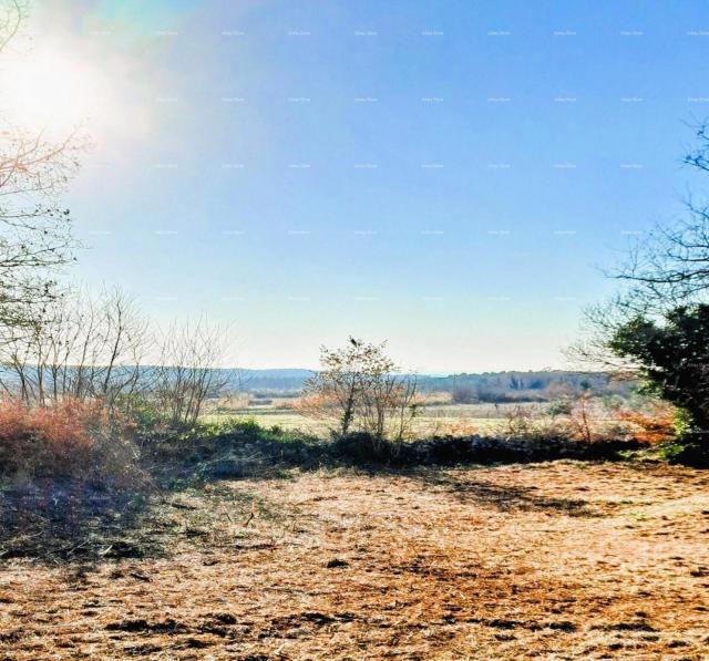 Građevinsko zemljište Gađevinsko zemljište 3.500 m² U  malom selu  blizina Višnjana prema selu Bačva