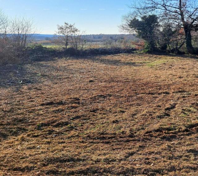 Građevinsko zemljište Gađevinsko zemljište 3.500 m² U  malom selu  blizina Višnjana prema selu Bačva