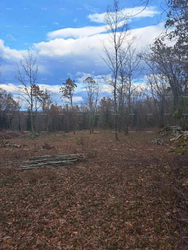 Građevinsko zemljište Građevinsko zemljište 1150 m², Kringa, Tinjan